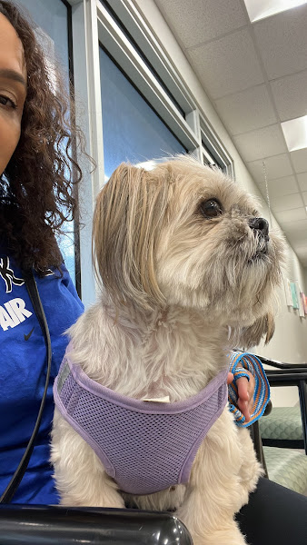 Southport Animal Hospital