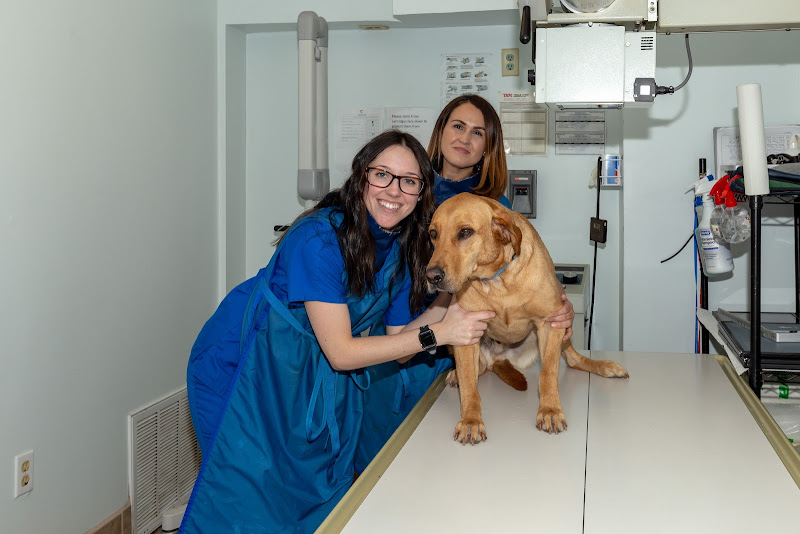 Friendship Veterinary Hospital