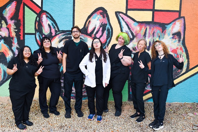 Low Cost Veterinary Surgery Clinic of Scottsdale