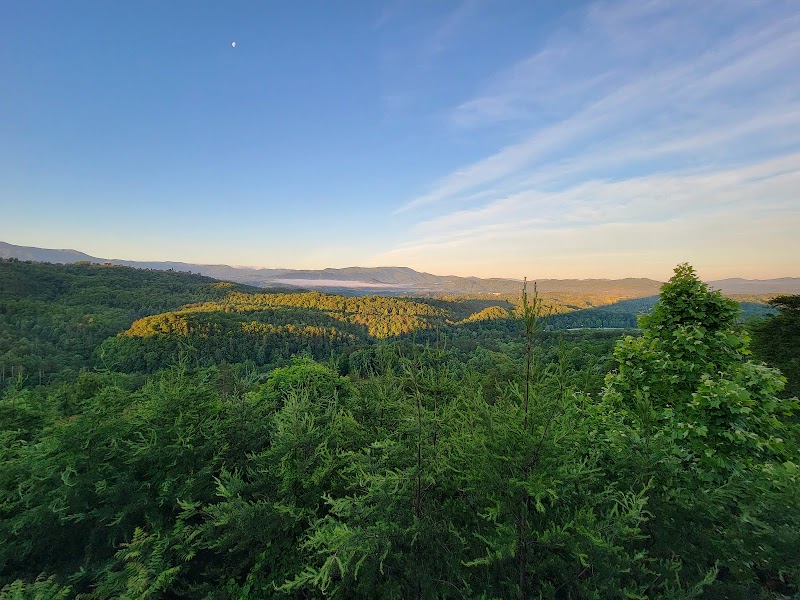 Peaceful View Cabin photo