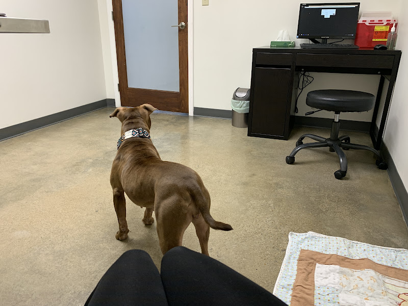 Southside Veterinary Clinic - Veterinarian in Chattanooga