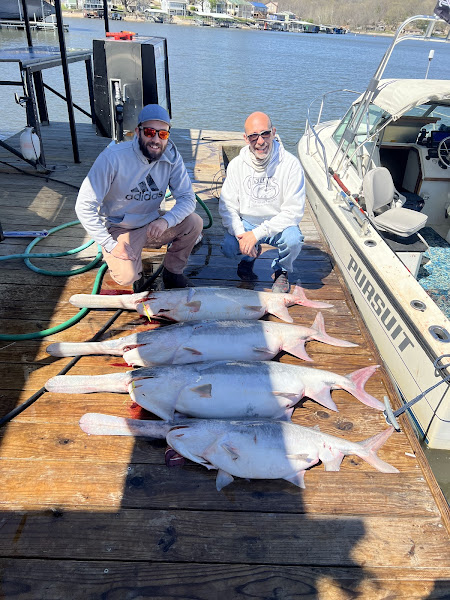 LOZ Bowfishing & Adventure Charters LLC - Fishing charter in your area