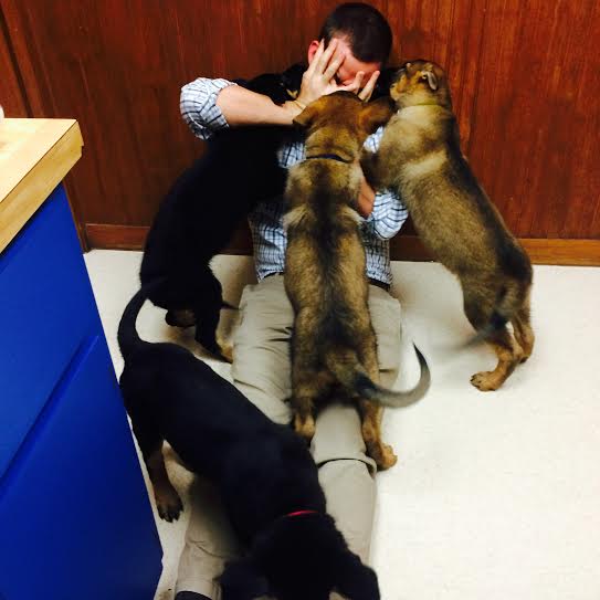 Golden Gate Animal Clinic Inc