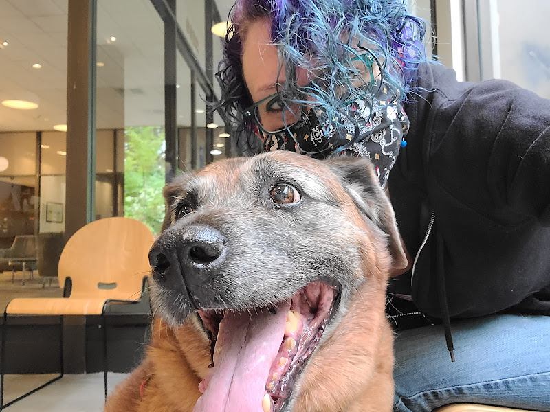 Urban Animal By Appointment