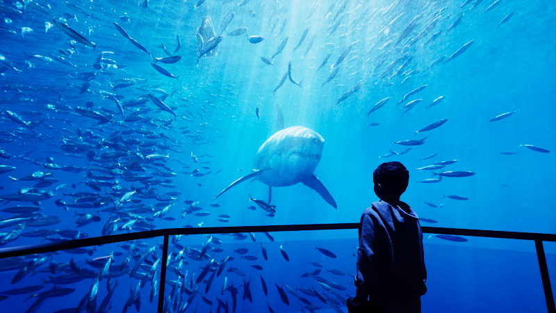 XPERIA: Smoky Mountains