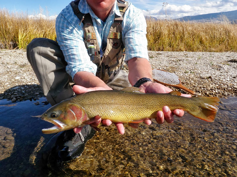 Teton Fly Fishing