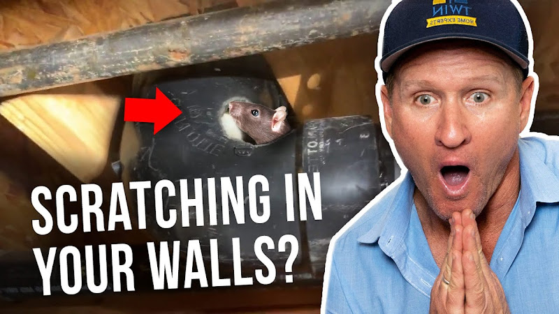 Rodent Stoppers - Rodent & Attic Cleanup Los Angeles - Pest control service in Los Angeles