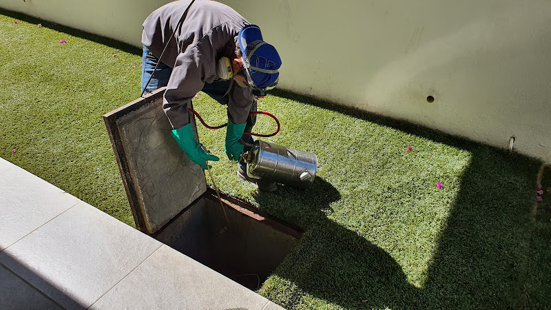 GECKO Control de plagas - Pest control service in El Caribe