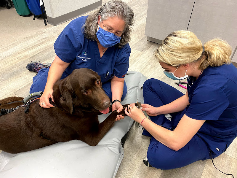 Dallas Veterinary Clinic