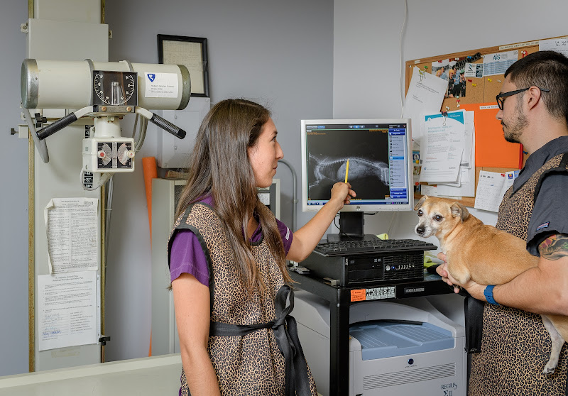 St. Augustine Animal Clinic