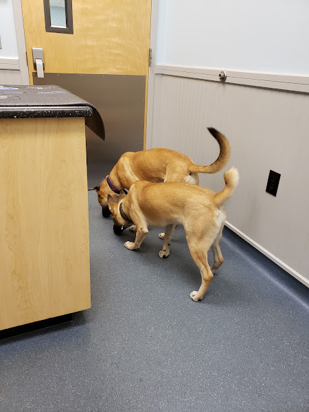 Bayshore Animal Clinic