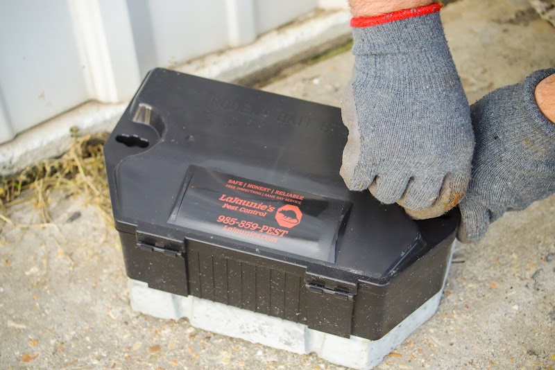 LaJaunie's Pest Control photo