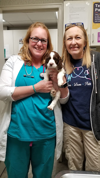 Ashland Terrace Animal Hospital - Veterinarian in Chattanooga