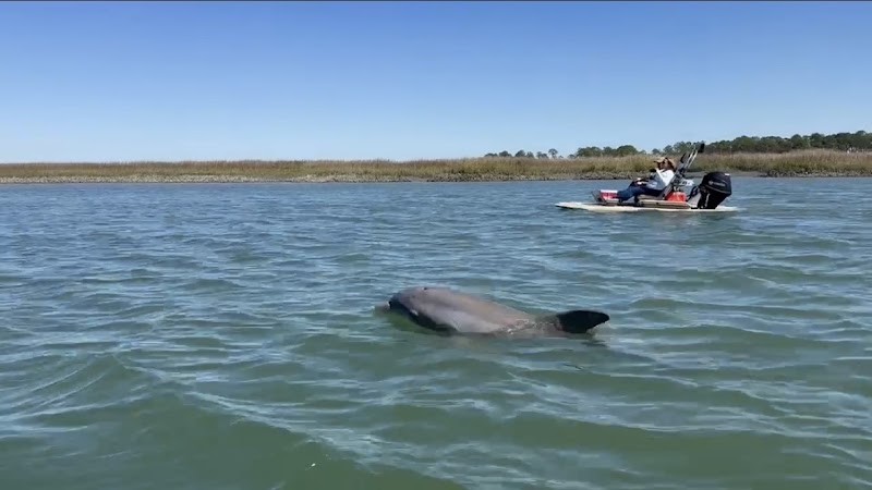 Island Skiff Adventure Tours photo