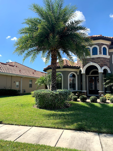 Albert & Ellis Landscaping & Tree Service