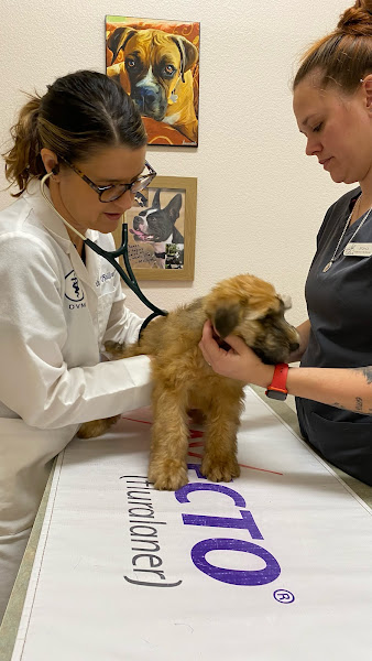 Animal Medical Clinic of Orlando