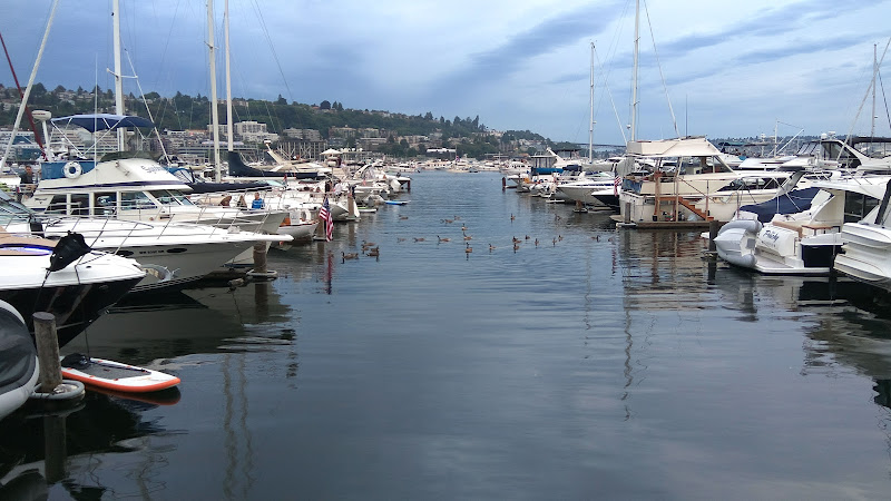 Fairview Marina, Lake Union