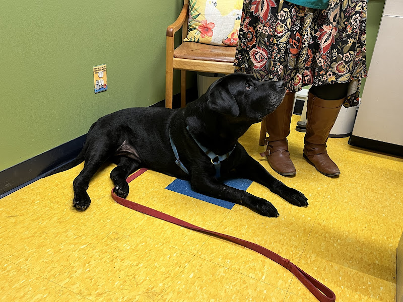 Campeche Cove All Animal Hospital