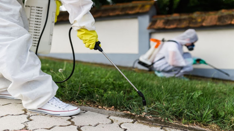 East Coast Pest Control