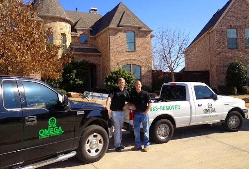 Omega Animal Removal Dallas