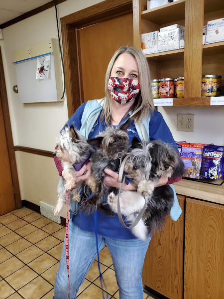 Navarre Animal Clinic