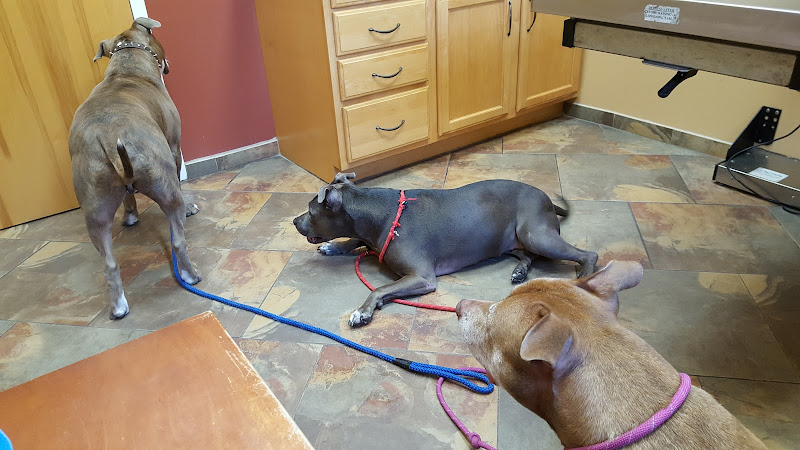 Healing Arts Veterinary Center