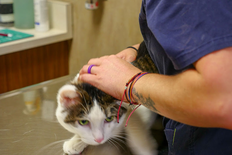 Mobley Veterinary Clinic