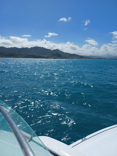 Ocean World Marina & Boatyard - Marina in Calle Principal