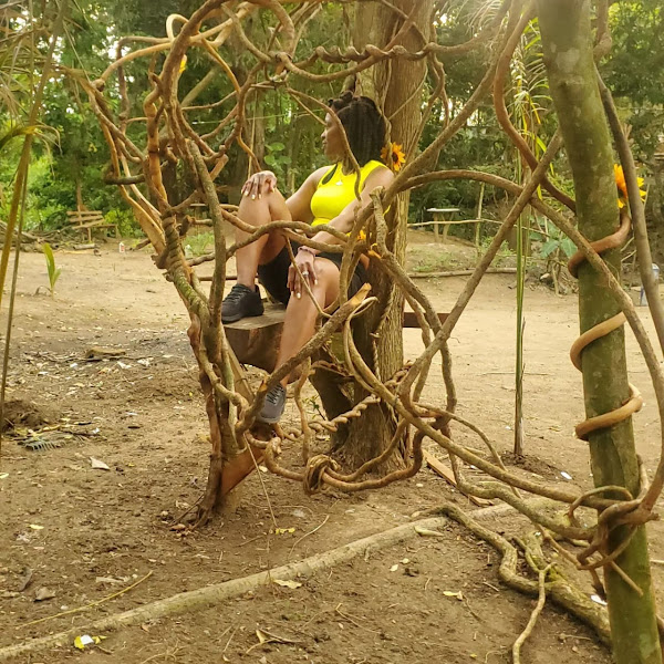 Step River Adventure Park - Tourist attraction in Montego Bay