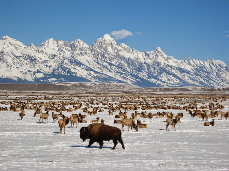 Christy & Garth Gillespie - Jackson Hole Experts - Real estate agency in Jackson