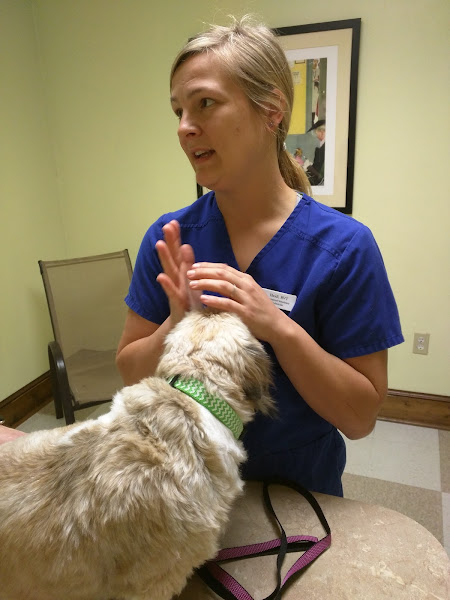 Myrtle Beach Animal Hospital