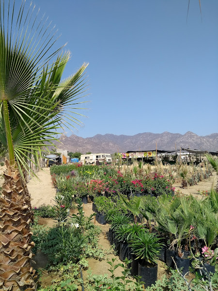 Quality Landscapes - Garden center in El Zacatal