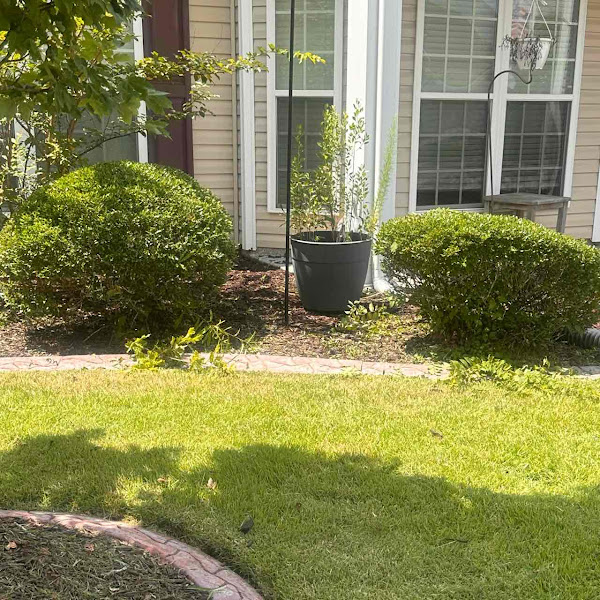 LawnStarter - Lawn care service in Charleston