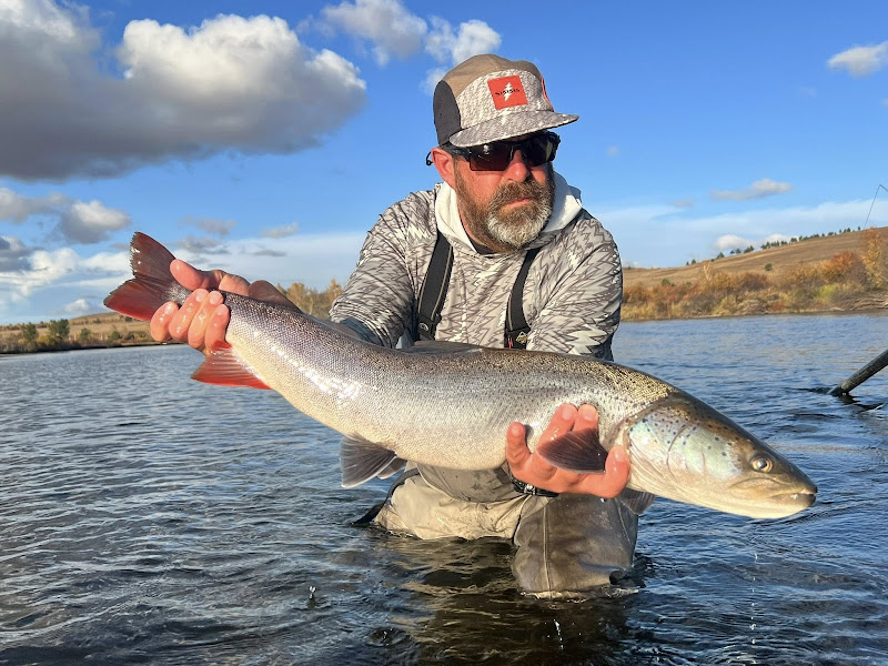 Montana Angler