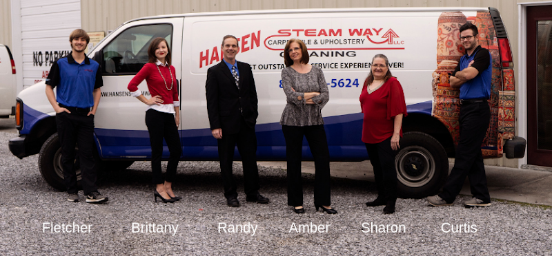 Hansen Steamway Carpet Tile & Upholstery Cleaning