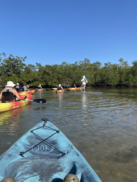 Rising Tide Explorers - Canoe & kayak tour agency in Naples
