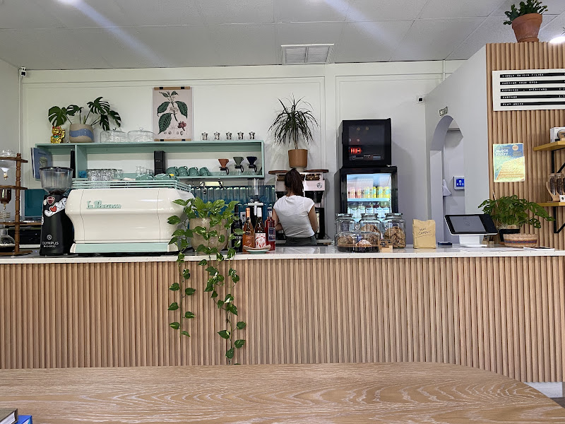 Palma Coffee - Coffee shop in Sarasota