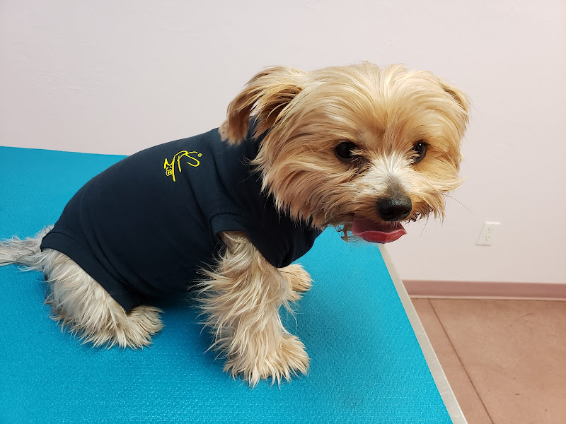 Mountain View Animal Clinic