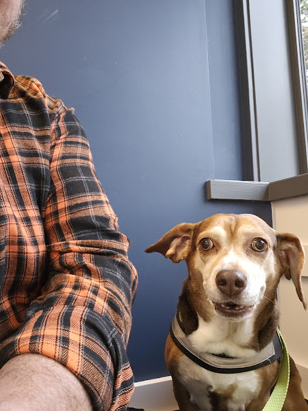 Northeast Veterinary Hospital