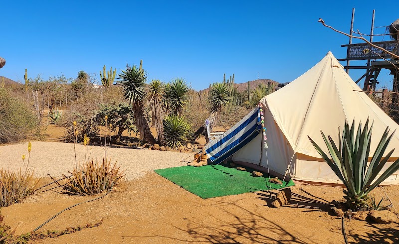 Clay Cactus Campground - Campground in 23300 El Pescadero
