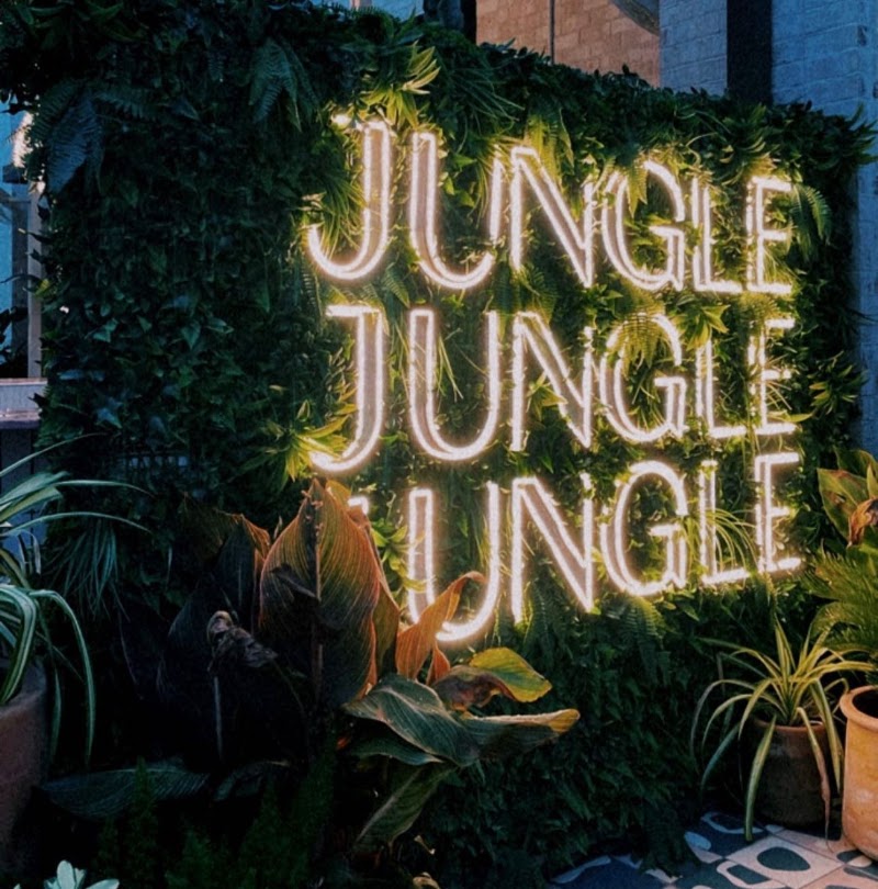 Jungle Studio Fitness - Dallas photo