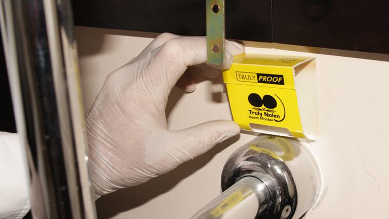 Truly Nolen Pest & Termite Control - Pest control service in Charleston
