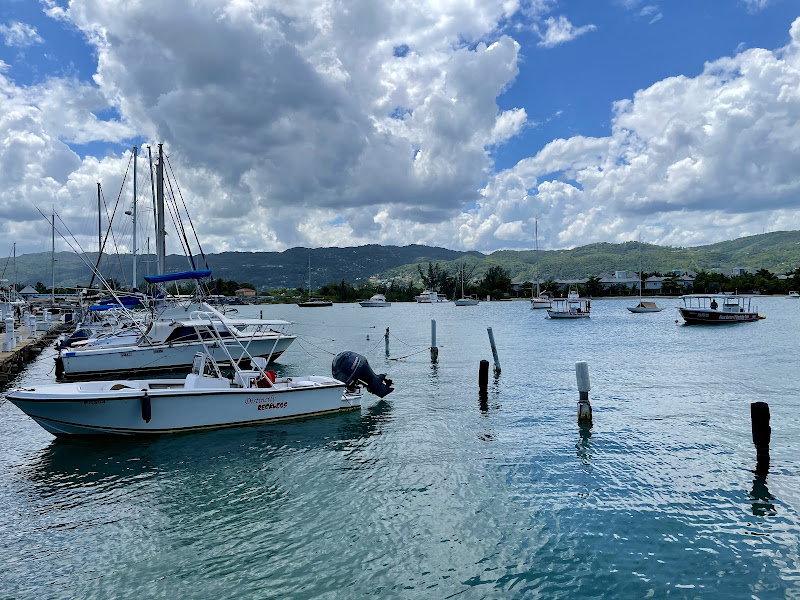 Wild Card Charter Yacht Club Montego Bay