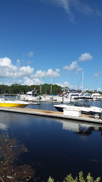 Palm Cove Marina