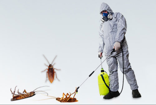 Environmental Pest Control Inc.