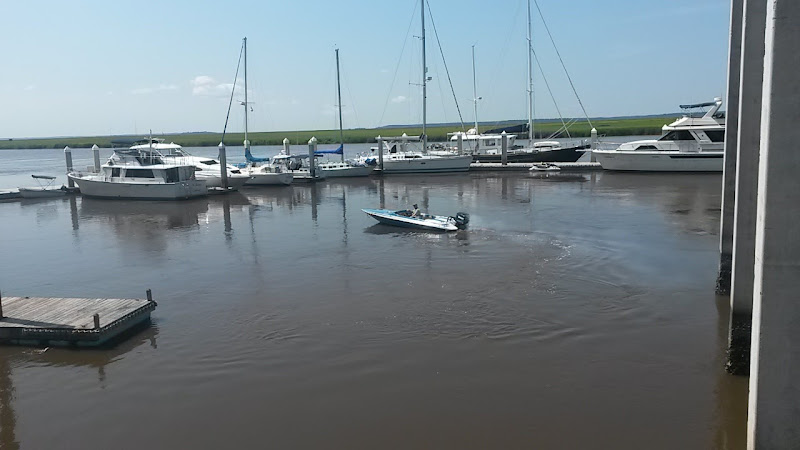 Coffee Bluff Marina