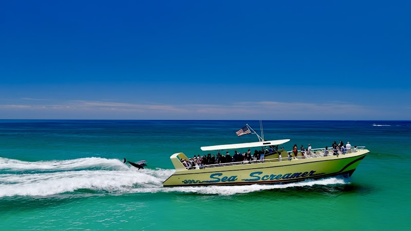 Sea Screamer - Boat tour agency in Panama City Beach