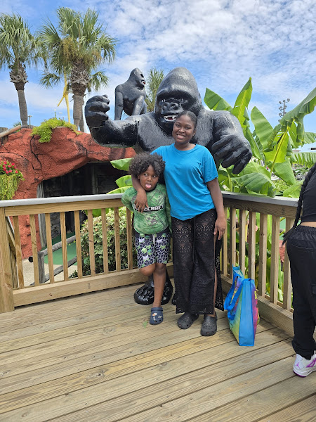 Family Rides at The Track - Destin - Amusement park in Destin