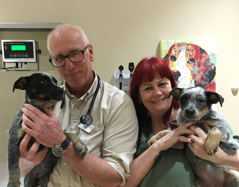 St. Bernard's Animal Hospital