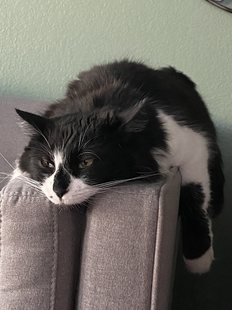 Pet Care Center at Luna Park photo